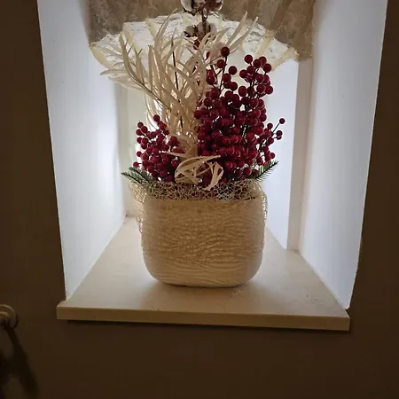 Ancaranvs Bed & Breakfast 3*