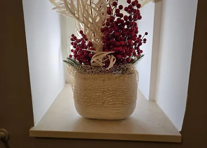 Ancaranvs Bed & Breakfast 3*